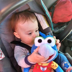 Meet your Posher, Chris